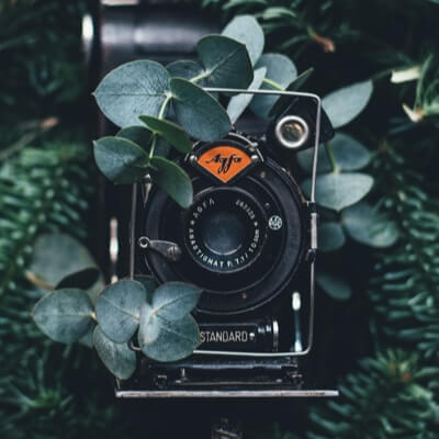 A camera sitting with flowers ontop